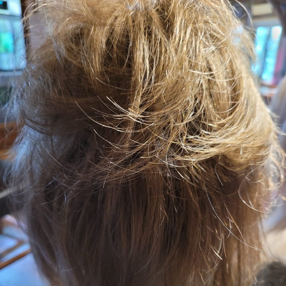 Rachel Welch Wig